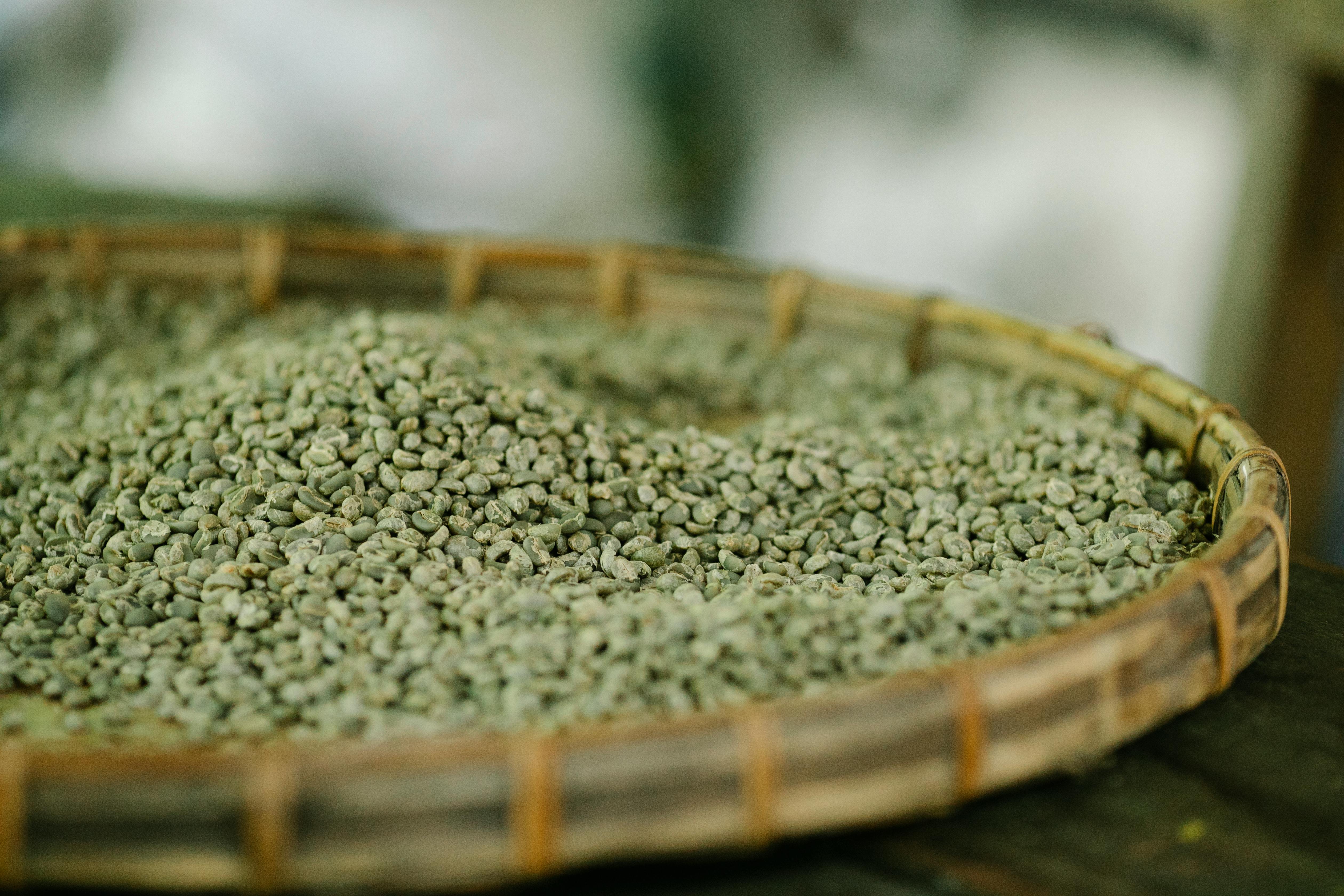 Harrar Coffee Beans